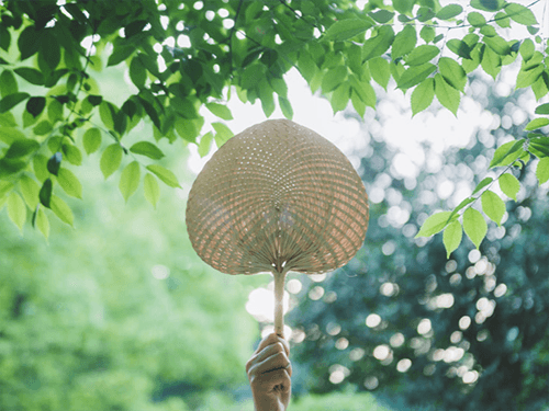 风邪致病分“内外”，日常调护以防风为要