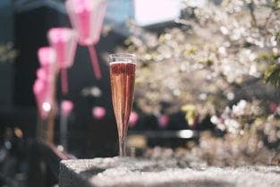 白兰地与葡萄酒的关系：一种烈酒的前世今生