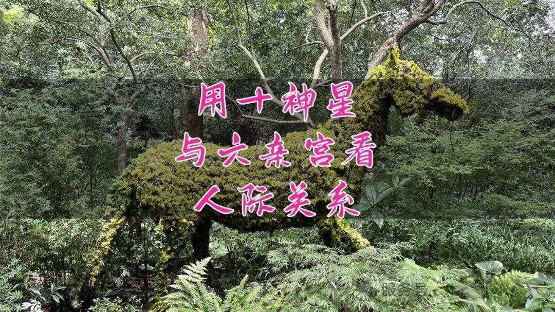 用十神星与六亲宫看人际关系
