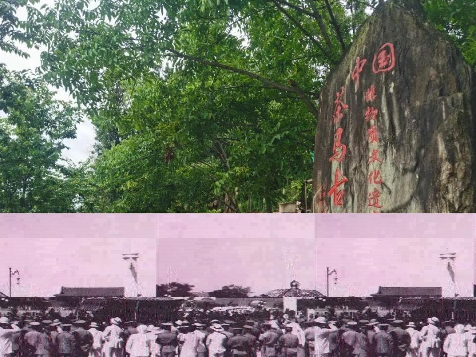 凤阳邑：影视带动艺术旅居