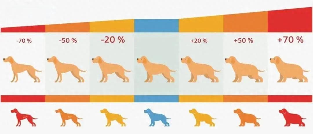 宠物犬骨关节炎的治疗方法汇总，这9种成分很有效！