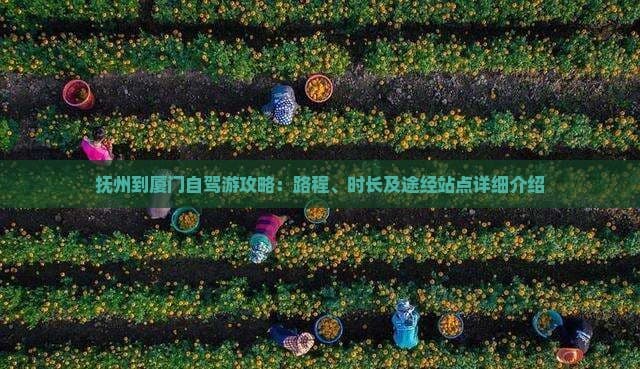 抚州到厦门自驾游攻略：路程、时长及途经站点详细介绍