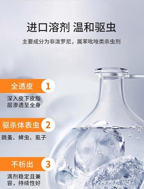 狗狗驱虫全攻略：从幼犬到成年，一文详解驱虫时间表和注意事项