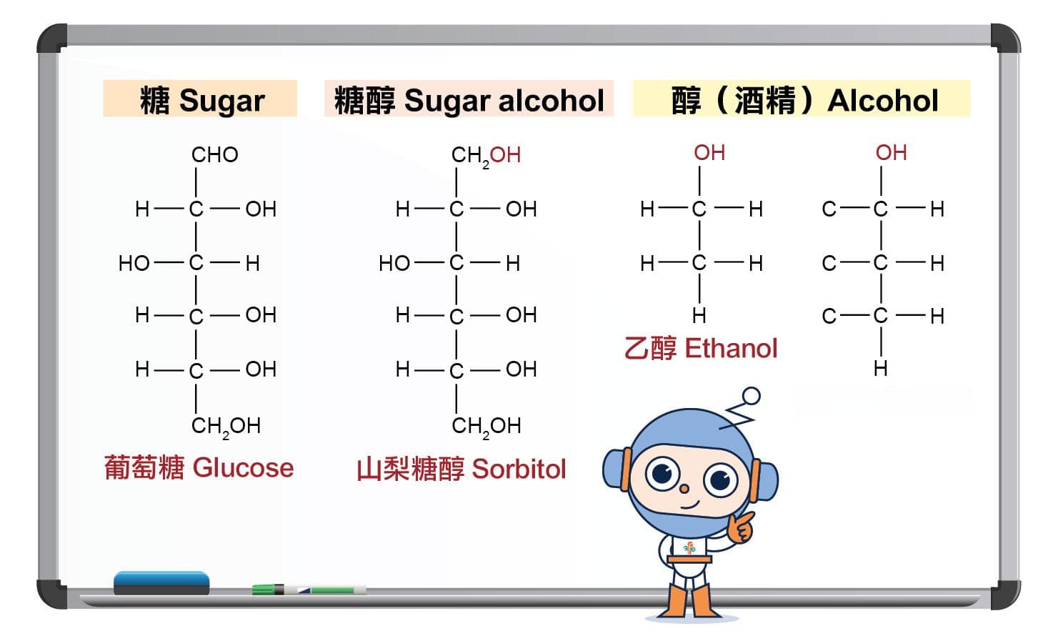 糖醇概览：营养性甜味剂的科学解读