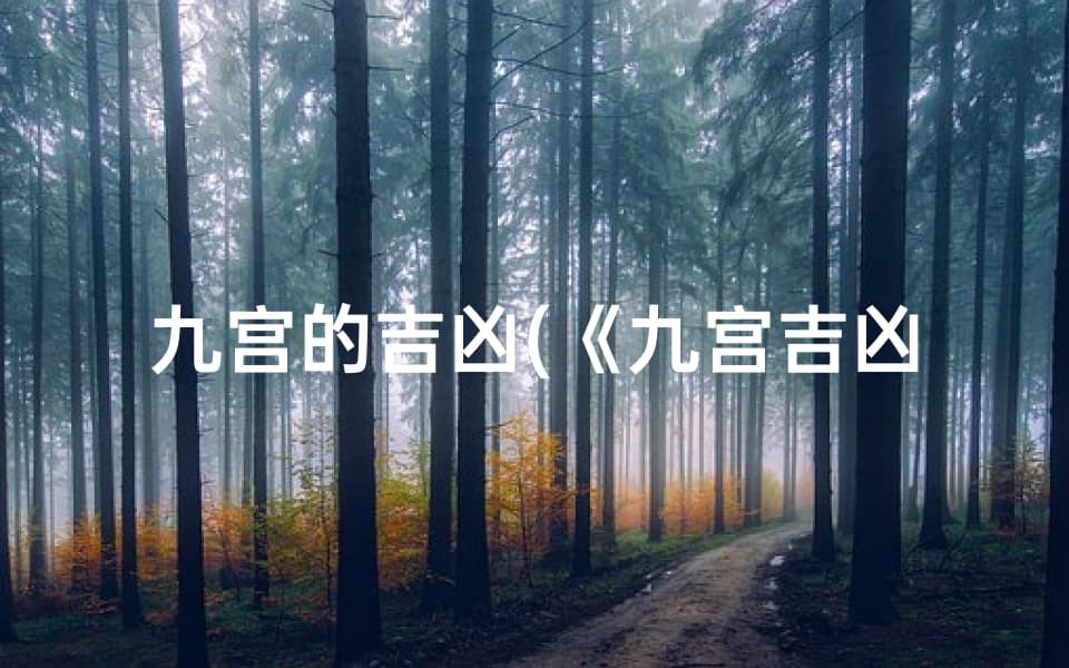 九宫的吉凶(《九宫吉凶方位图解：揭秘家居风水布局秘诀》)