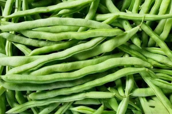 明年种什么蔬菜最挣钱？