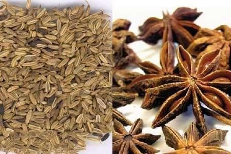 大茴香和小茴香的区别：从外观到药用价值的全面解析