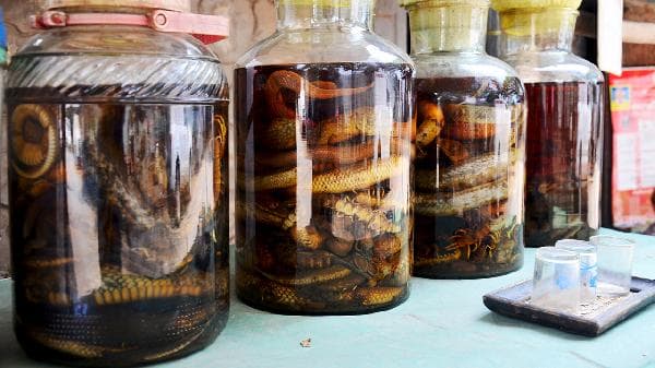 活血通络的三种药酒：当归酒、红花酒、川芎酒的功效与使用方法