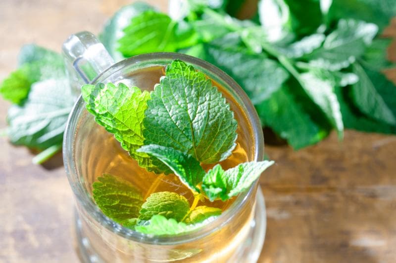 什么茶能治口臭：8种天然茶叶消除口臭