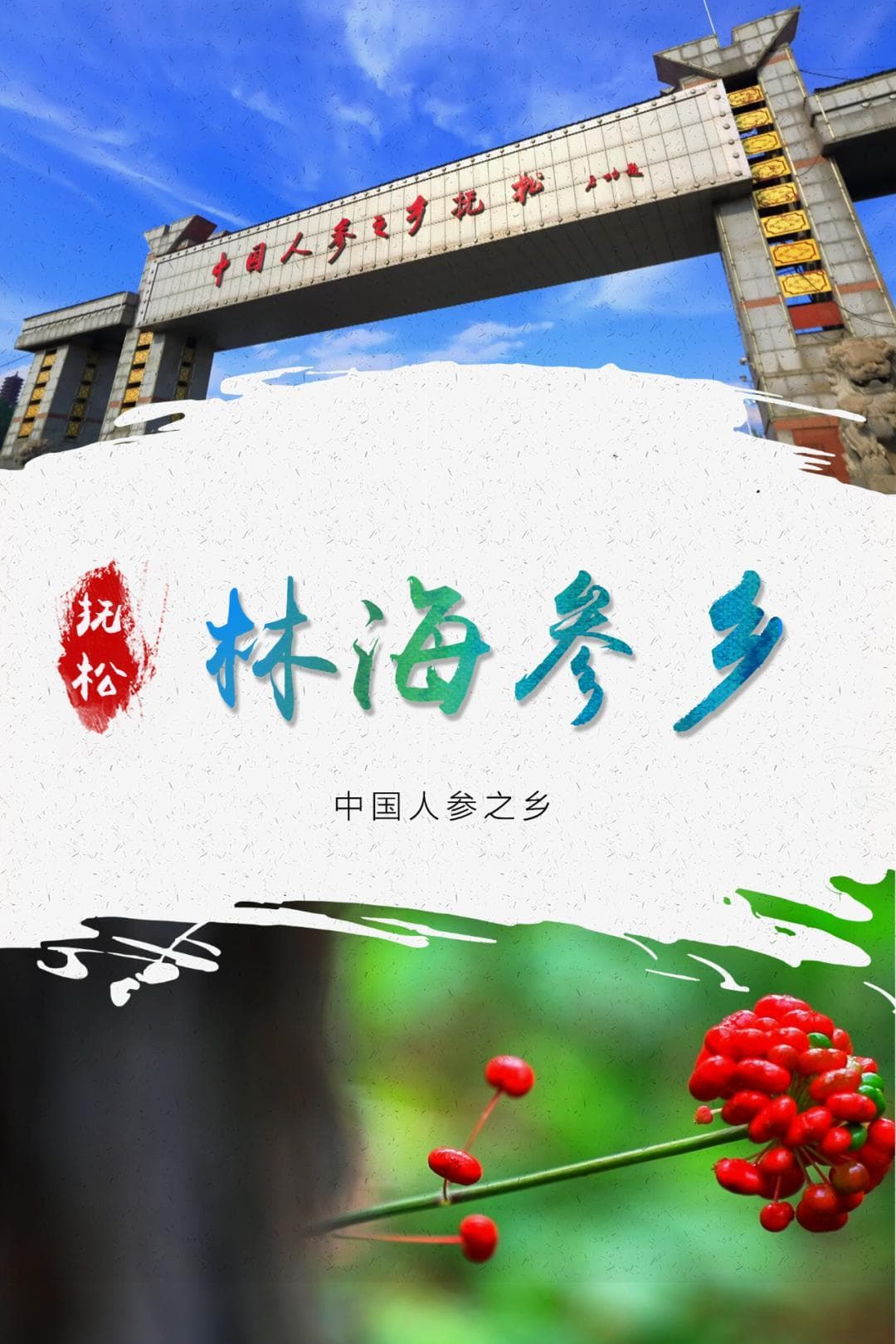 林海宝藏，千年参情：抚松县人参文化历久弥新