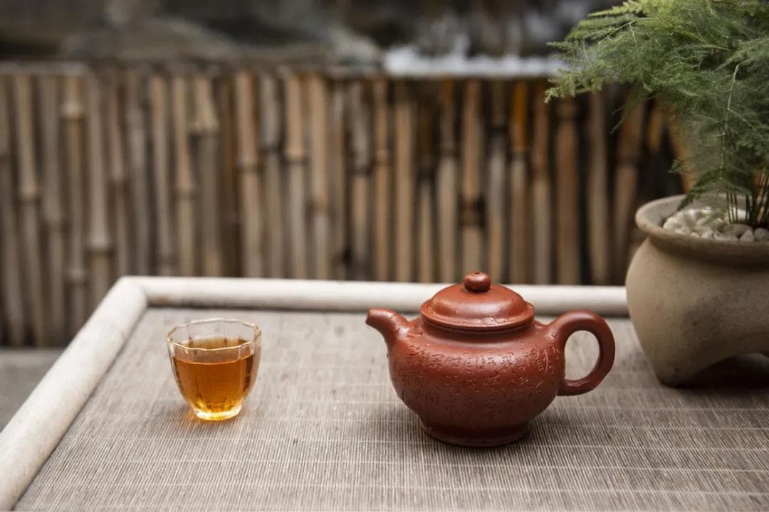 紫砂壶发霉怎么办？正确保存方法在这里