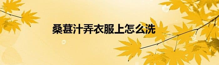 桑葚汁弄衣服上怎么洗