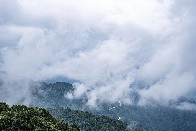什么是哀牢山？探索自然之谜与守护生态的边界