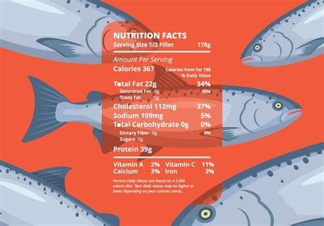 鱼类营养价值大观：Omega-3、蛋白质、维生素D一应俱全