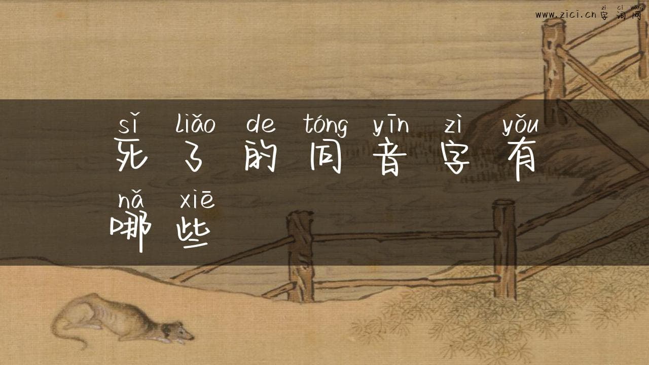 “死了”的同音字有哪些？一文详解汉语同音字的妙用