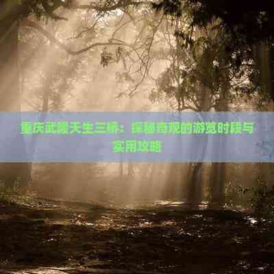 重庆武隆天生三桥：探秘奇观的游览时段与实用攻略
