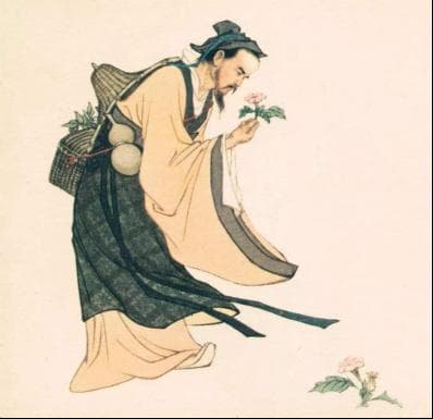 “结庐终南山，西北望帝京。”古代隐士为什么喜欢定居终南山？