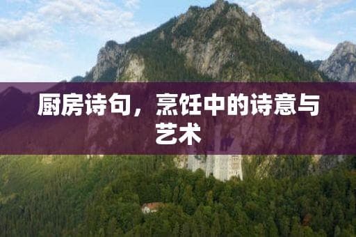 厨房诗句：烹饪中的诗意与艺术