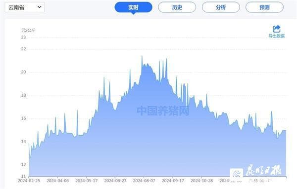 云南生猪价格下来了