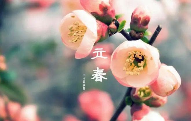今日立春，“立春是晴天，不用问神仙”啥意思？立春下雨好还是天晴好？答案来了