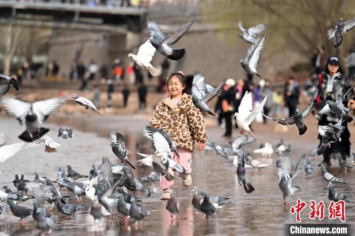 兰州春意渐浓 黄河风情线成休闲好去处