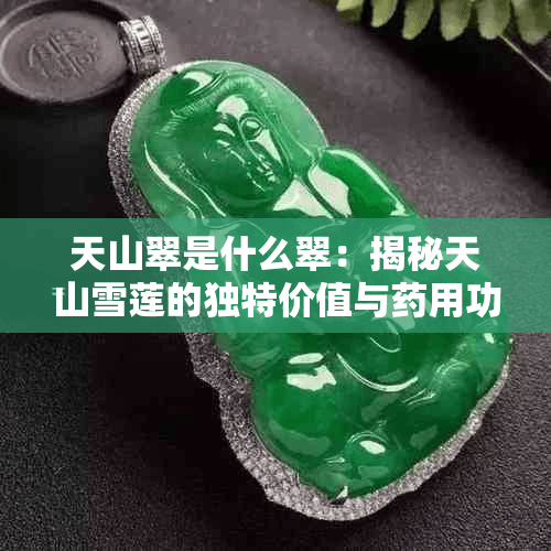 天山翠是什么翠：揭秘天山雪莲的独特价值与用功效