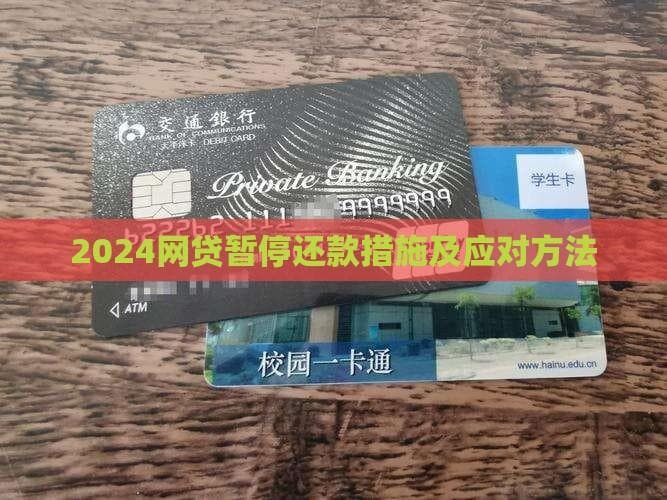 监管趋严下的网贷还款难题：六大应对策略全解析