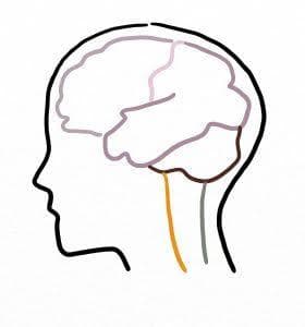 认识睡眠：揭秘睡眠的科学原理