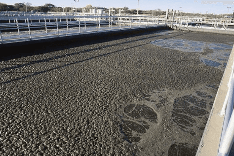 生化污水消泡剂在生化污水处理中的应用及效果