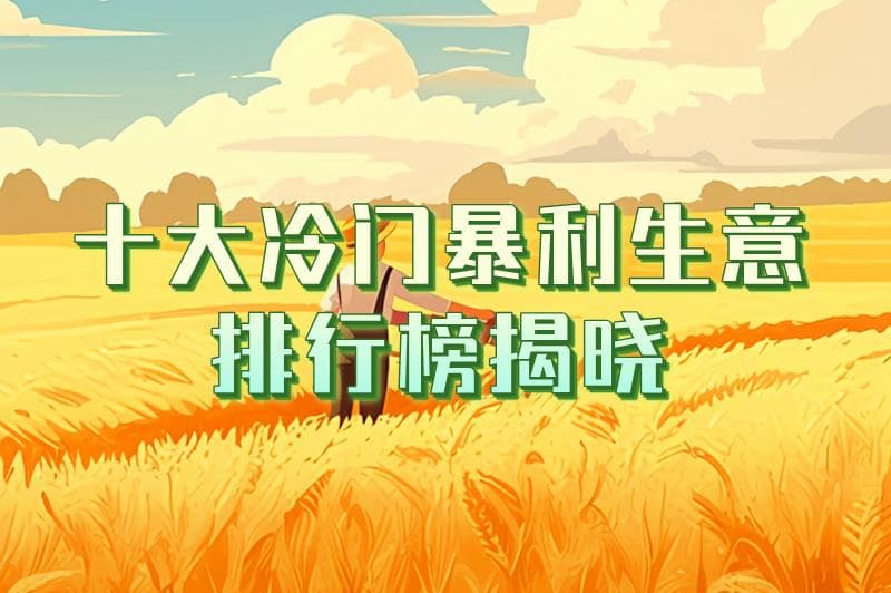 十大冷门暴利生意排行榜揭晓，挖掘隐藏财富机会