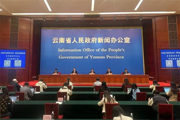 中老铁路辐射带动作用凸显 西双版纳段保持客货两旺