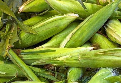 动手能力强的孩子怎么培养