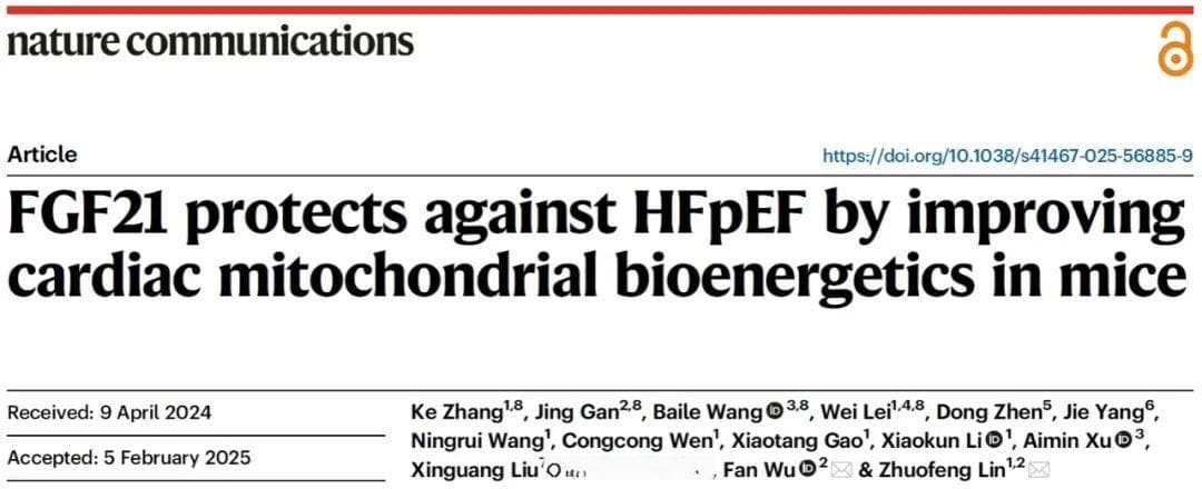 Nat Commun：中国科学家揭示FGF21改善射血分数保留型心力衰竭新机制