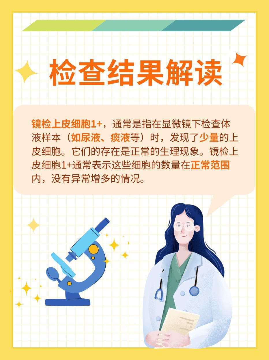 镜检上皮细胞1+：解读你的体检报告