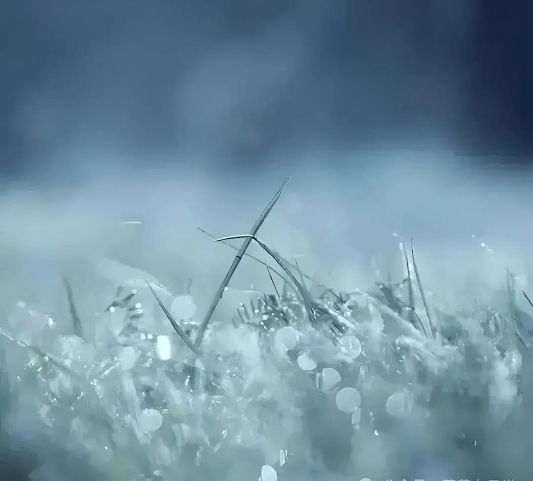 高敏感性格者没必要自卑，其实琼瑶和你们一样