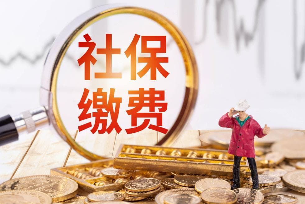 社保缴纳证明轻松拿，线上线下全攻略来啦！