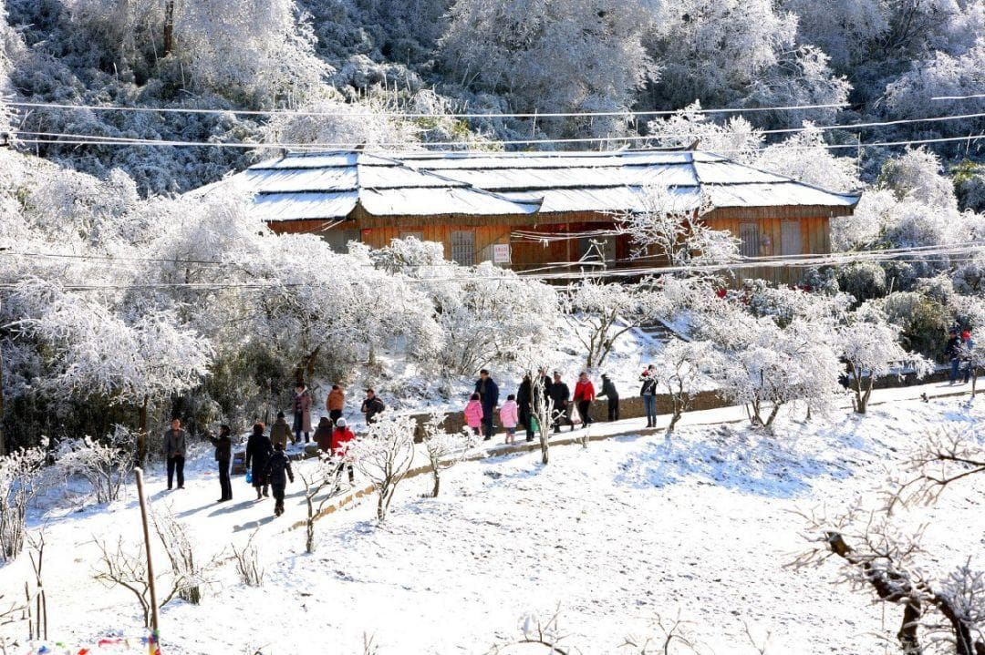 2024重庆金佛山北坡滑雪场攻略（开放时间+门票价格）
