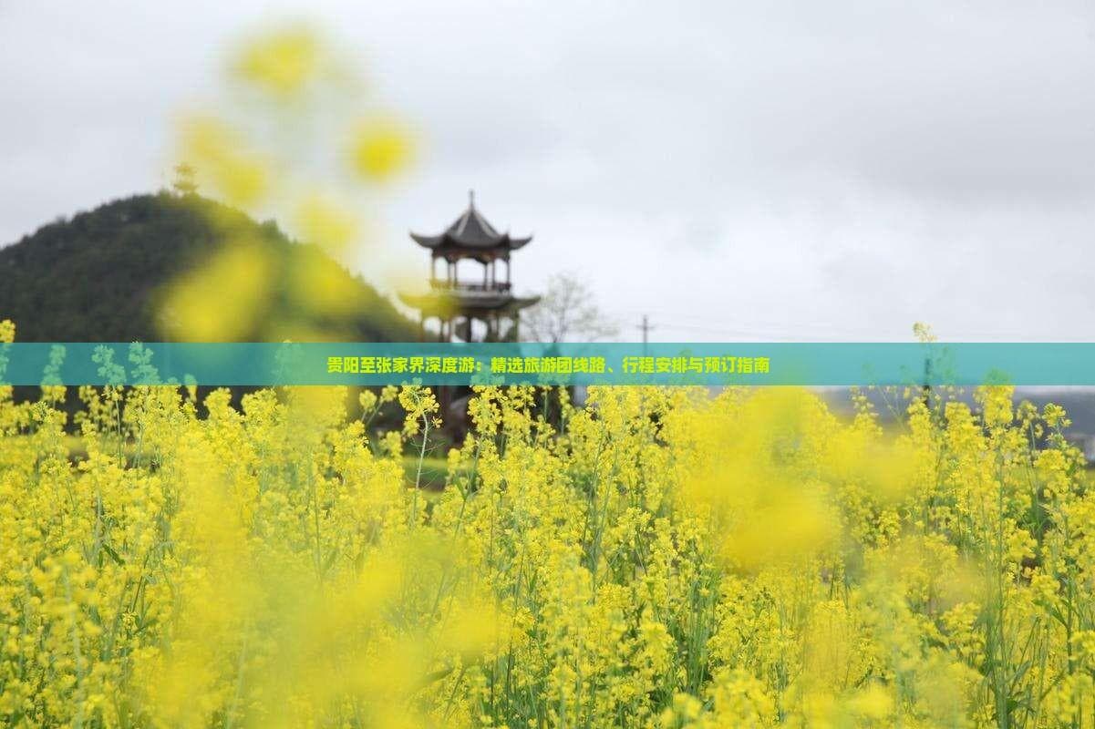 贵阳至张家界深度游：精选旅游团线路、行程安排与预订指南