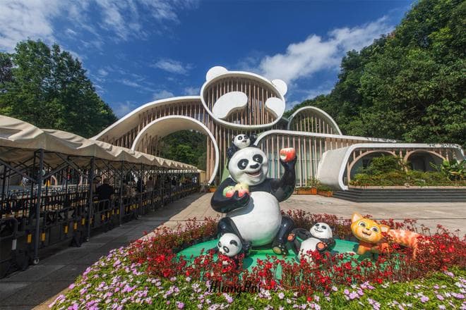 避开"花花"人潮，都江堰熊猫谷：游客少、熊猫多的观赏胜地