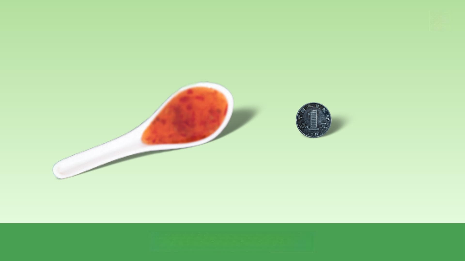 食物重量估算指南
