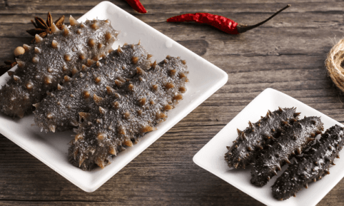 干海参的功效与作用及食用方法