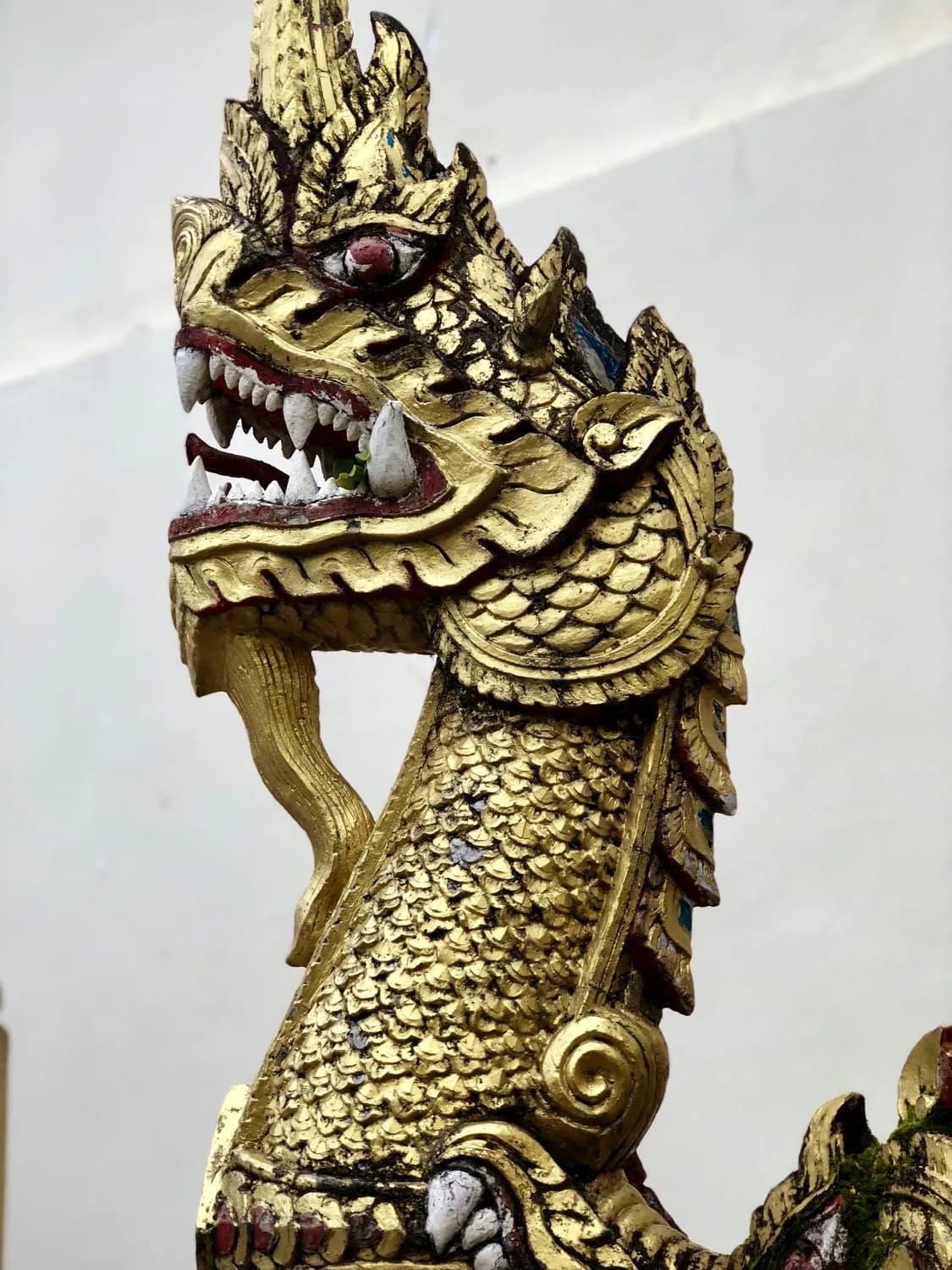 2025龙年头像走红：从明星到粉丝的"新年新气象"