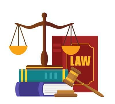 “车狗相撞”酿事故，责任如何承担？