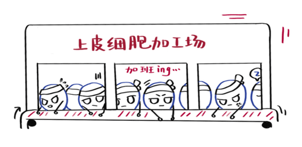 糜烂性胃炎发展为胃溃疡：症状识别与预防指南