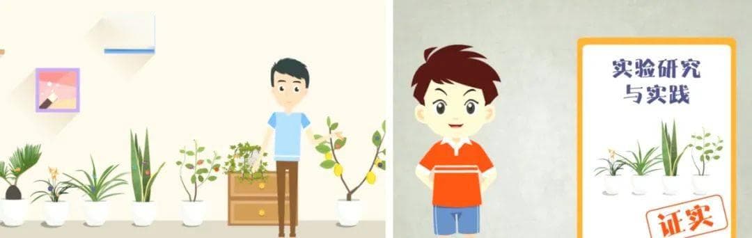 环保科普丨绿色植物能吸附室内空气污染物吗？
