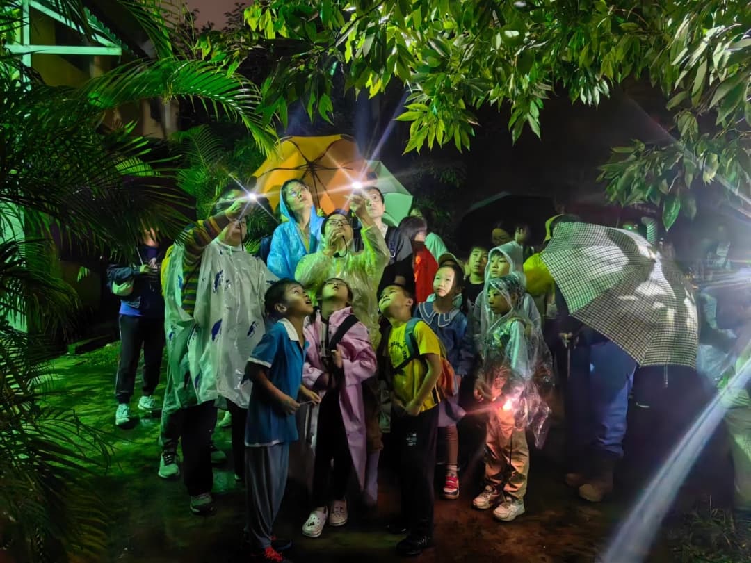 萤火虫点亮广深之夜，慰藉都市人乡愁