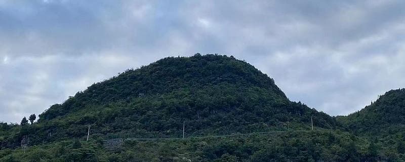 化学课本上发现氧气的大化学家拉瓦锡，为何被法国人砍了脑袋？