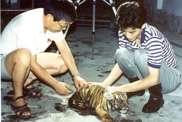 上海动物园70年：从30种动物到470种，守护几代人成长记忆