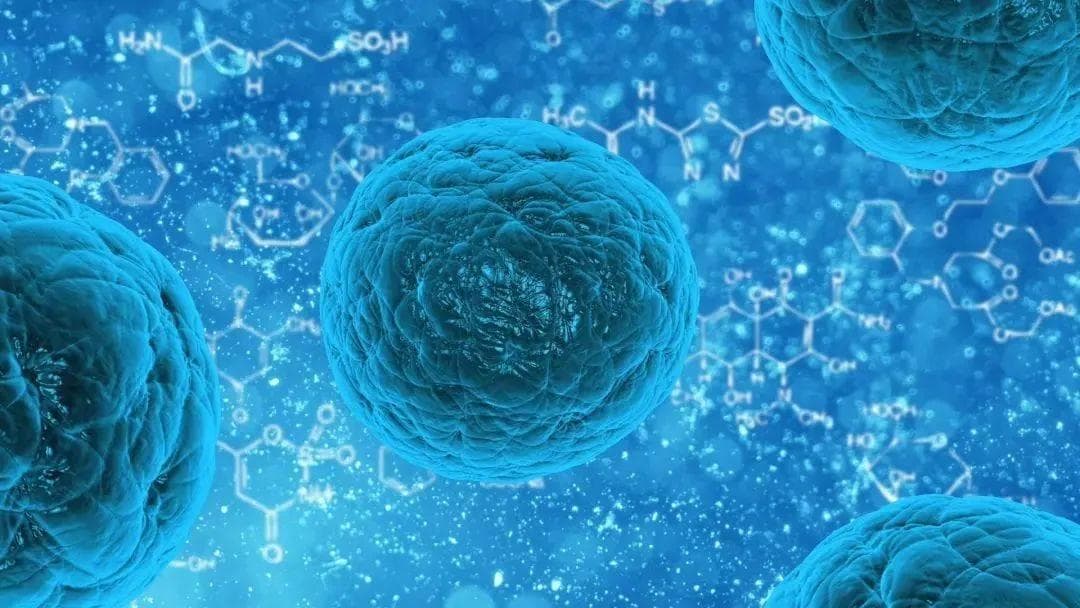 重庆医科大学揭示三阴性乳腺癌转移机制和靶向治疗策略