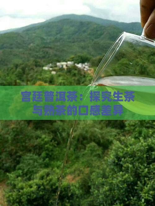 生茶清爽熟茶醇厚，宫廷普洱口感大不同